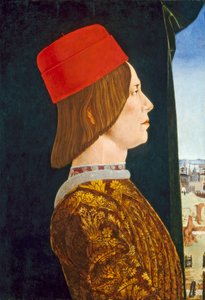 Giovanni II Bentivoglio，c。 1474-77（面板上的蛋彩画） 作者 罗伯蒂（Ercole de Roberti）